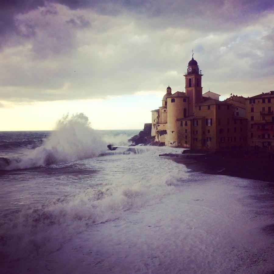 La Casa Della Fiore Camogli Exteriér fotografie