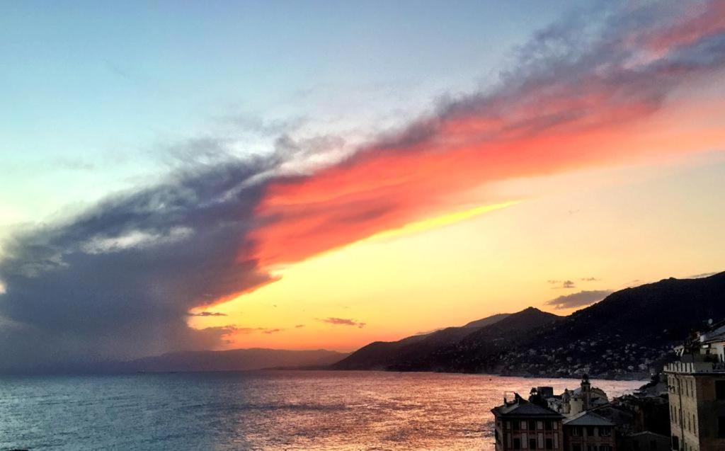 La Casa Della Fiore Camogli Exteriér fotografie